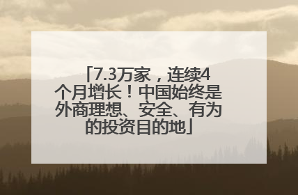 7.3万家，连续4个月增长！中国始终是外商理想、安全、有为的投资目的地