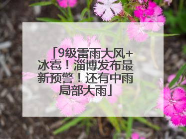 9级雷雨大风+冰雹！淄博发布最新预警！还有中雨局部大雨