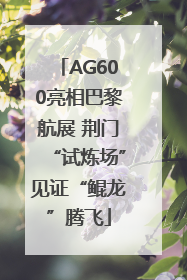 AG600亮相巴黎航展 荆门“试炼场”见证“鲲龙”腾飞