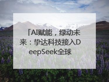 AI赋能，绿动未来：挚达科技接入DeepSeek全球化布局的新篇章